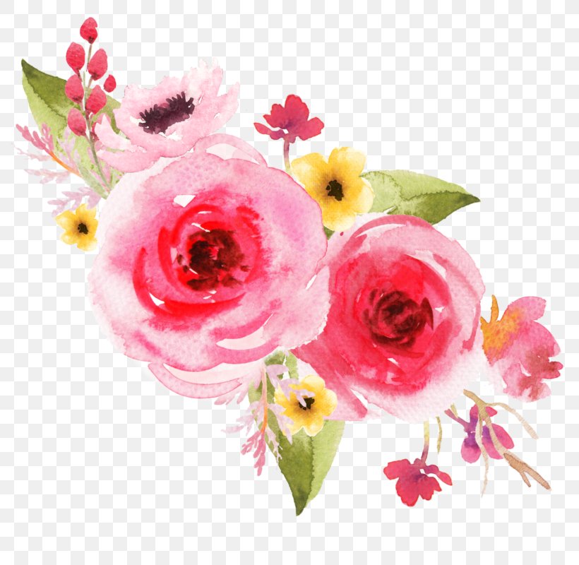 Garden Roses Flower Bouquet Floral Design Cut Flowers, PNG, 800x800px, Garden Roses, Centifolia Roses, Cut Flowers, Floral Design, Floristry Download Free