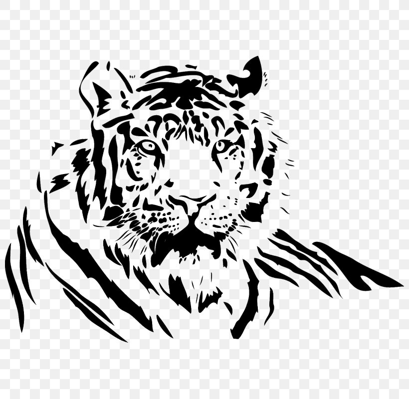 White Tiger Drawing Lion Clip Art, PNG, 800x800px, Tiger, Big Cat, Big Cats, Black, Black And White Download Free
