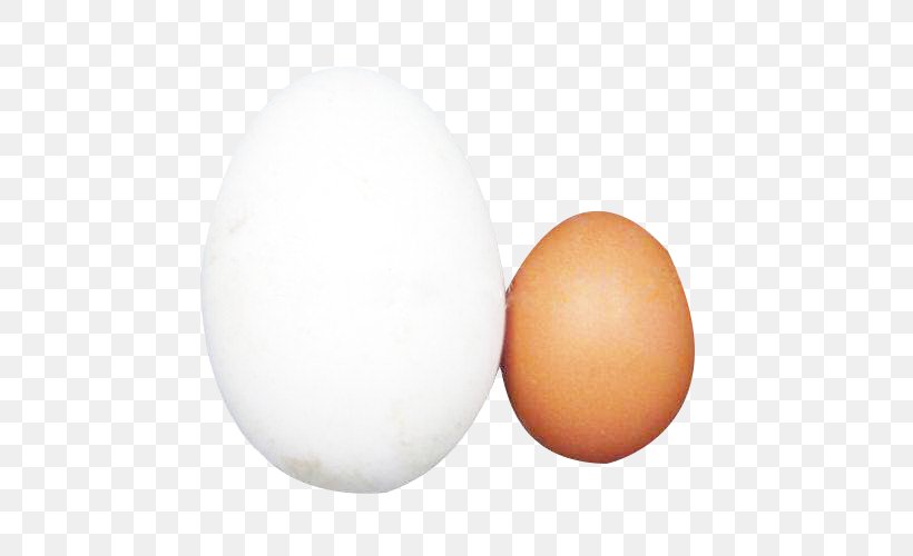 Domestic Goose Egg White Chicken, PNG, 500x500px, Domestic Goose, Chicken, Chicken Egg, Designer, Egg Download Free