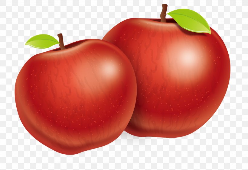 Plum Tomato Apple Fuji, PNG, 2181x1500px, Plum Tomato, Accessory Fruit, Acerola, Acerola Family, Apple Download Free
