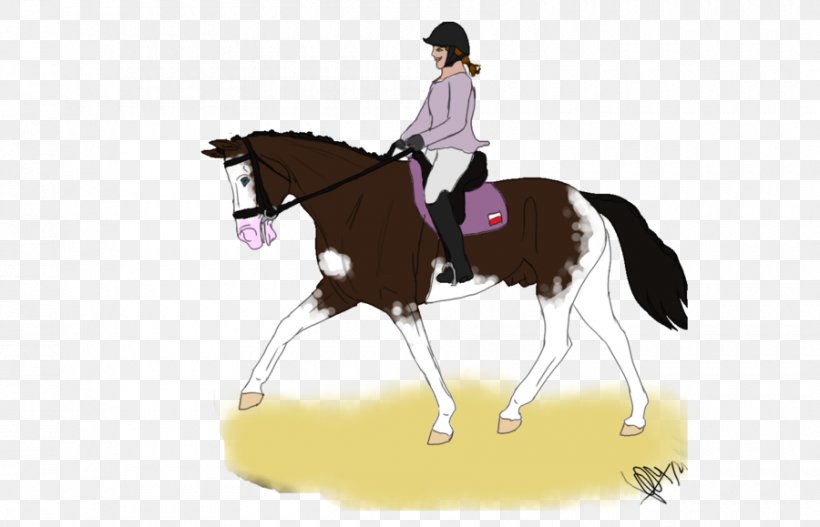 Stallion Horse Hunt Seat Bridle Pony, PNG, 900x579px, Stallion, Animal Training, Bit, Bridle, Dressage Download Free