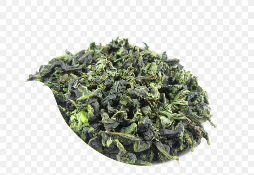 Anxi County Green Tea Tieguanyin Oolong, PNG, 1000x690px, Anxi County, Aroma, Biluochun, Black Tea, Camellia Sinensis Download Free