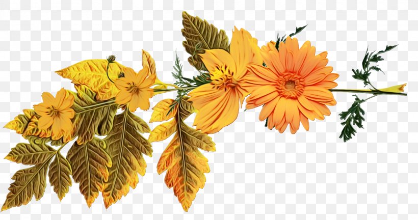 Artificial Flower, PNG, 1600x843px, Watercolor, Artificial Flower, Calendula, Cut Flowers, English Marigold Download Free