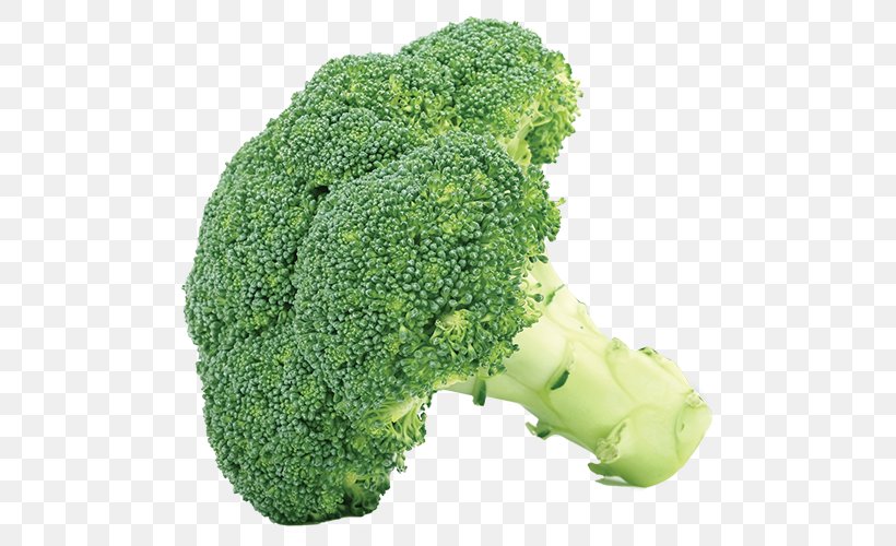 Broccoli Cabbage Vegetable Cauliflower Clip Art, PNG, 500x500px, Broccoli, Bell Pepper, Brassica Oleracea, Cabbage, Cauliflower Download Free