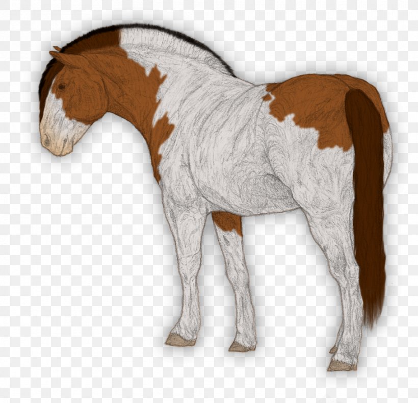 Foal Mustang Stallion Colt Mare, PNG, 910x877px, Foal, Animal Figure, Colt, Halter, Horse Download Free