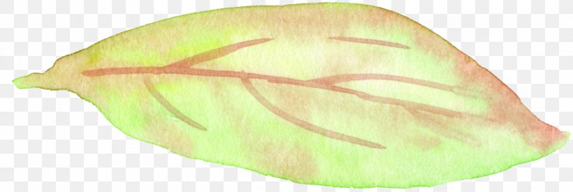 Vegetable Invertebrate Fruit Leaf, PNG, 1083x364px, Vegetable, Food, Fruit, Invertebrate, Leaf Download Free