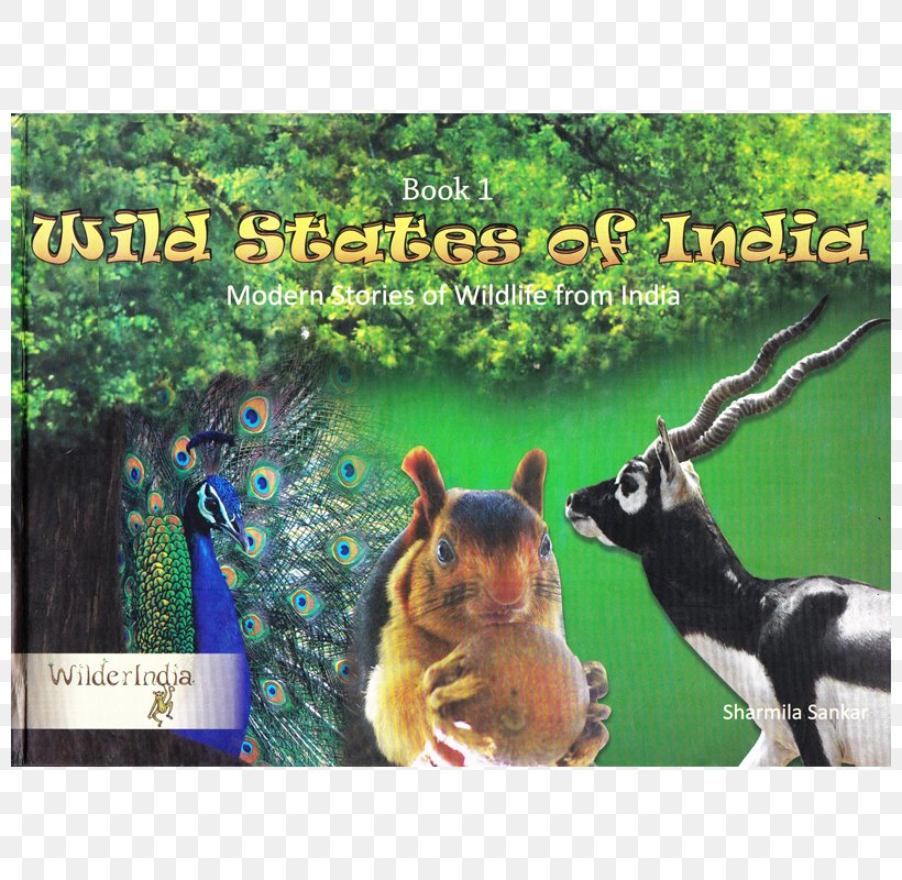 Wild States Of India Wild Tales Of India Wildlife Fauna Ecosystem, PNG, 800x800px, Wildlife, Advertising, Animal, Ecosystem, Fauna Download Free
