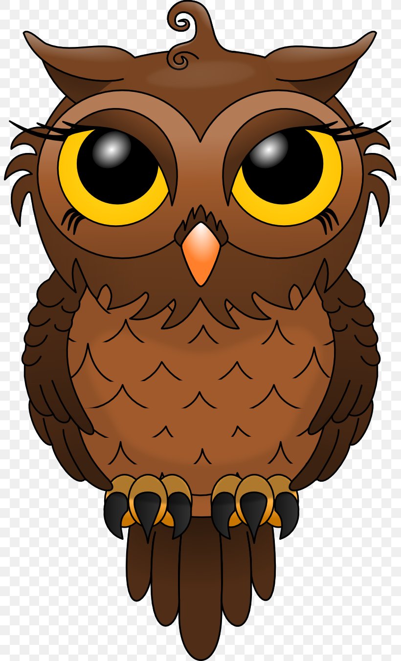 Owl Bird Clip Art Drawing Vector Graphics, PNG, 803x1353px, Owl, Art, Barn Owl, Beak, Bird Download Free