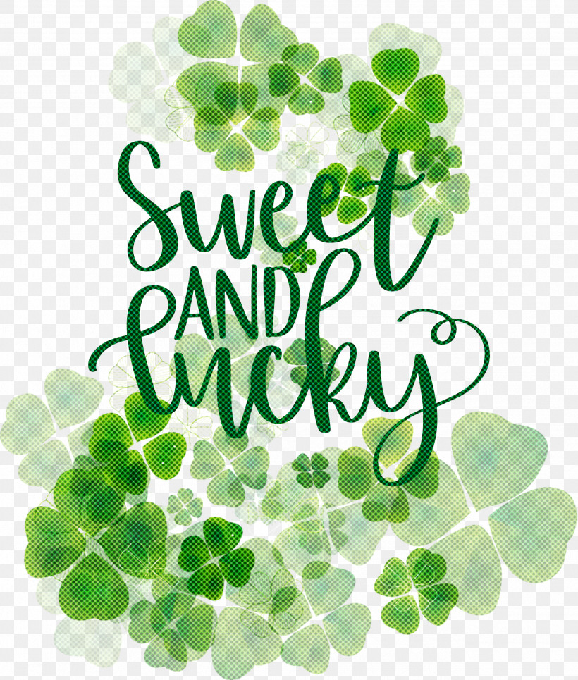 Sweet And Lucky St Patricks Day, PNG, 2546x2999px, St Patricks Day, Branch, Clover, Fourleaf Clover, Leaf Download Free