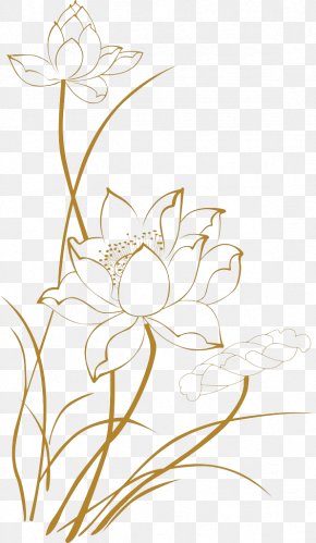 White Lotus Images White Lotus Transparent Png Free Download