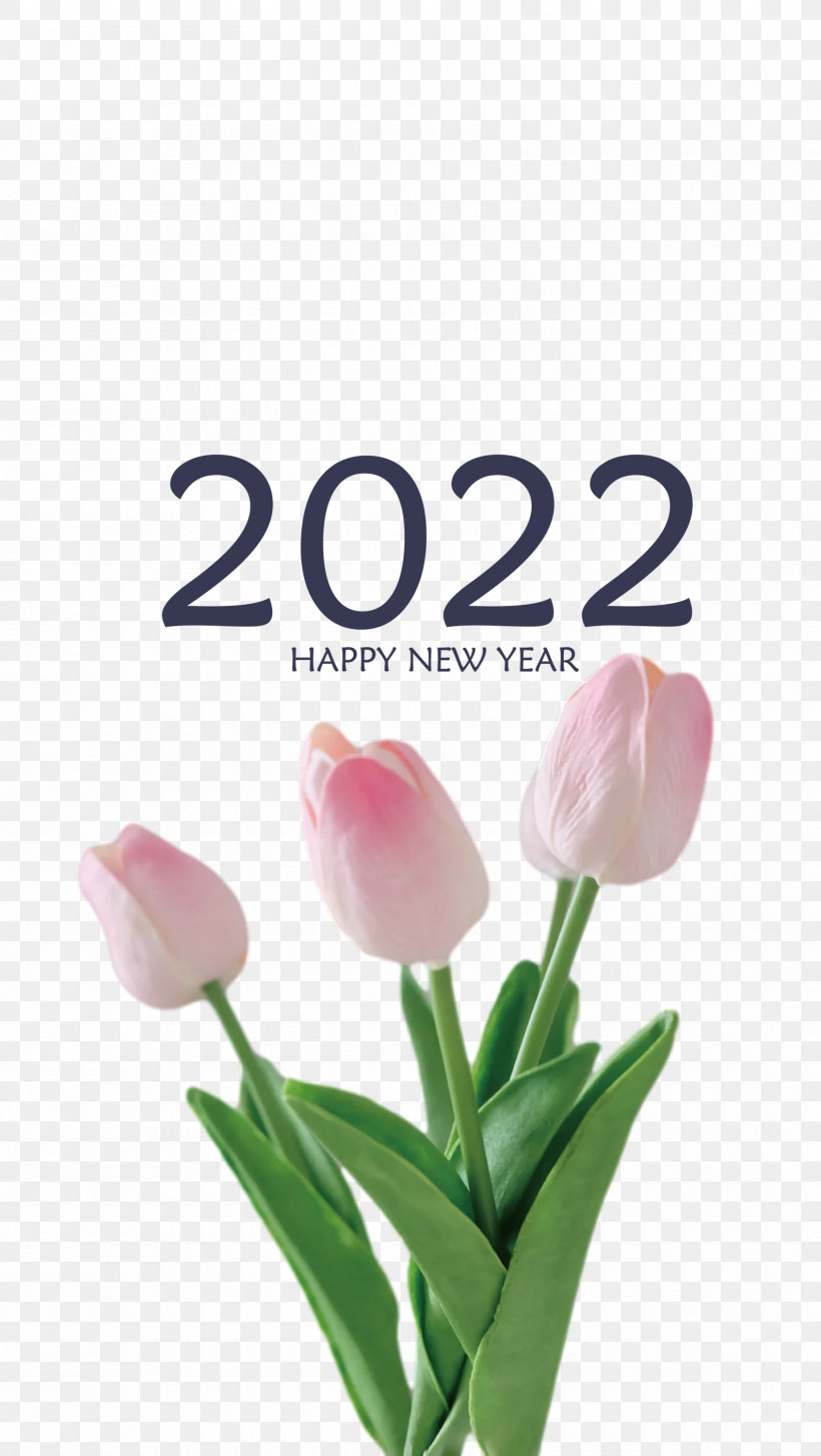 2022 Happy New Year 2022 New Year 2022, PNG, 1691x3000px, Cut Flowers, Biology, Flower, Meter, Petal Download Free