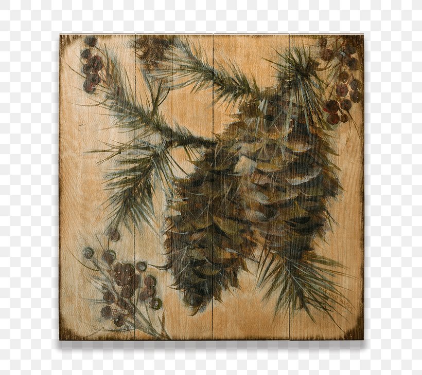 Fir Pine Conifer Cone Spruce, PNG, 730x730px, Fir, Art, Bedroom, Branch, Cone Download Free