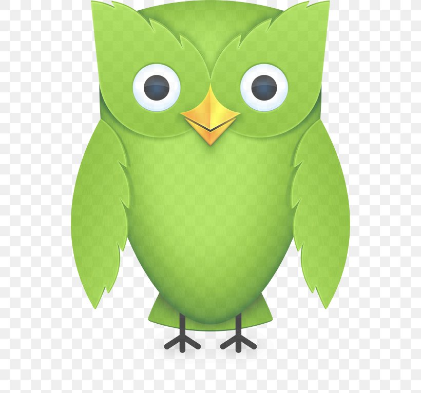 Owl Green Cartoon Bird Bird Of Prey, PNG, 544x766px, Owl, Animation, Bird, Bird Of Prey, Cartoon Download Free