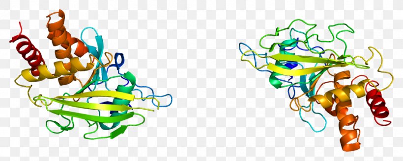 PTPRA Receptor Tyrosine Phosphatase Protein Tyrosine Phosphatase PTPRB, PNG, 1093x439px, Watercolor, Cartoon, Flower, Frame, Heart Download Free
