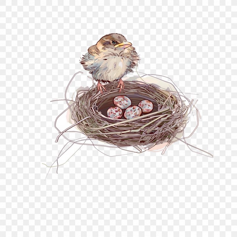 Sparrow Bird Nest Egg, PNG, 2953x2953px, Sparrow, American Robin, Beak, Bird, Bird Nest Download Free
