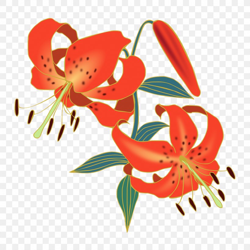 Tiger Lily Lilium Bulbiferum Flower Felidae, PNG, 1280x1280px, Tiger Lily, Cut Flowers, Daylily, Felidae, Flora Download Free