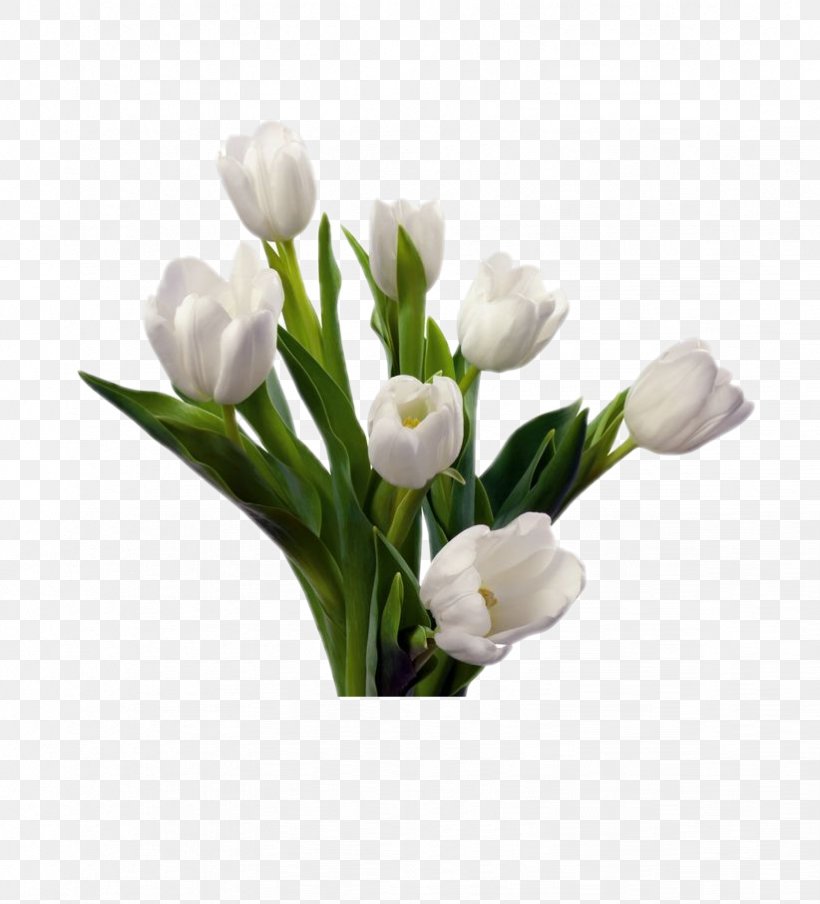 Tulip Flower Bouquet White Cut Flowers, PNG, 822x907px, Tulip, Artificial Flower, Color, Cut Flowers, Floral Design Download Free