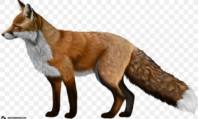 Domesticated Red Fox Silver Fox Clip Art, PNG, 863x521px, Domesticated Red Fox, Carnivoran, Display Resolution, Dog Breed, Dog Like Mammal Download Free