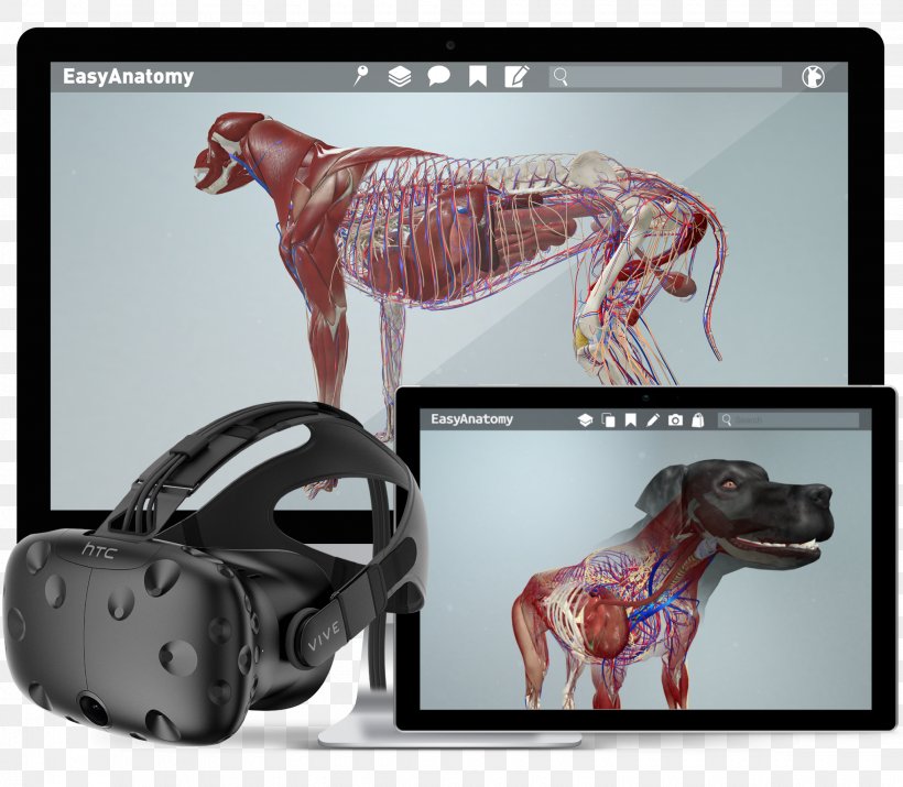 HTC Vive Oculus Rift Virtual Reality Augmented Reality Dog Anatomy, PNG, 2040x1780px, Htc Vive, Anatomia Animal, Anatomy, Augmented Reality, Brand Download Free