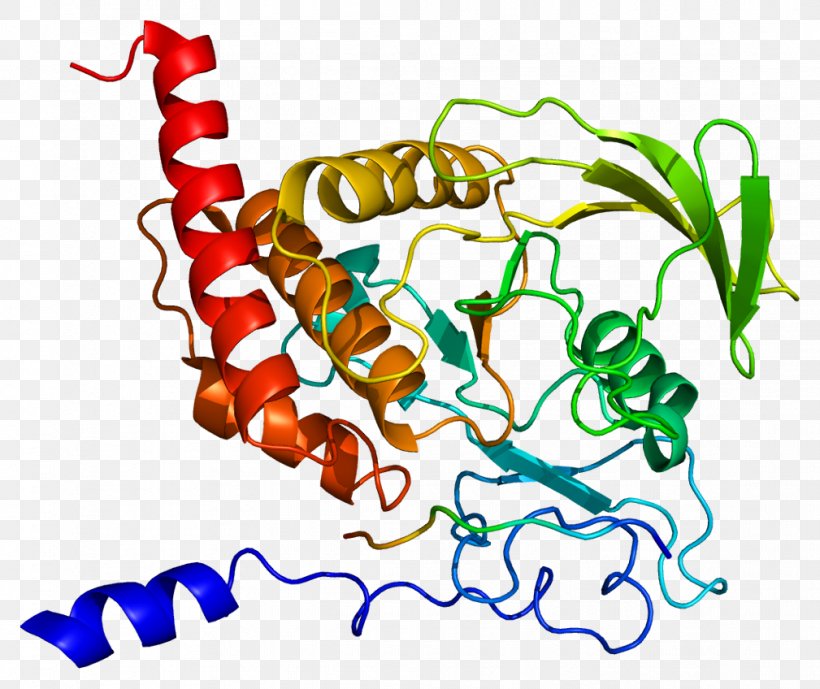 PTPN6 Protein Tyrosine Phosphatase SH2 Domain PTPN11 Tyrosine Kinase, PNG, 1009x848px, Protein Tyrosine Phosphatase, Animal Figure, Area, Artwork, Enzyme Download Free