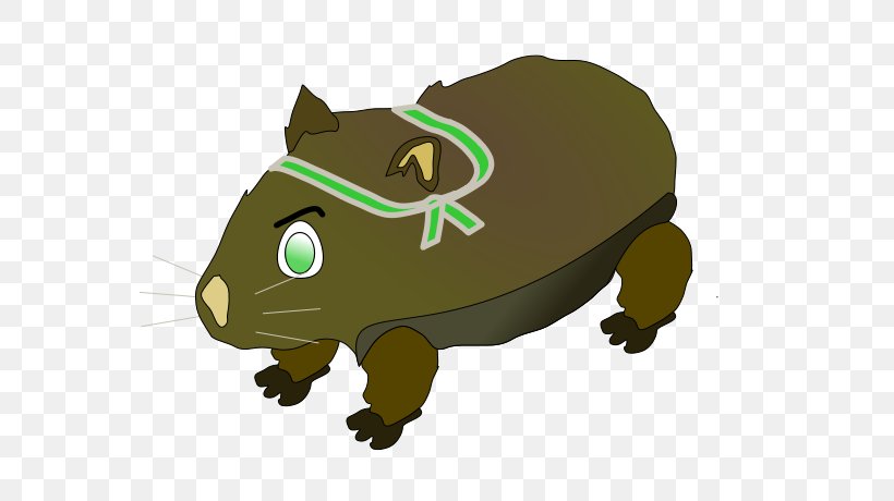 Wombat Clip Art, PNG, 567x460px, Wombat, Amphibian, Animal, Carnivoran, Cartoon Download Free