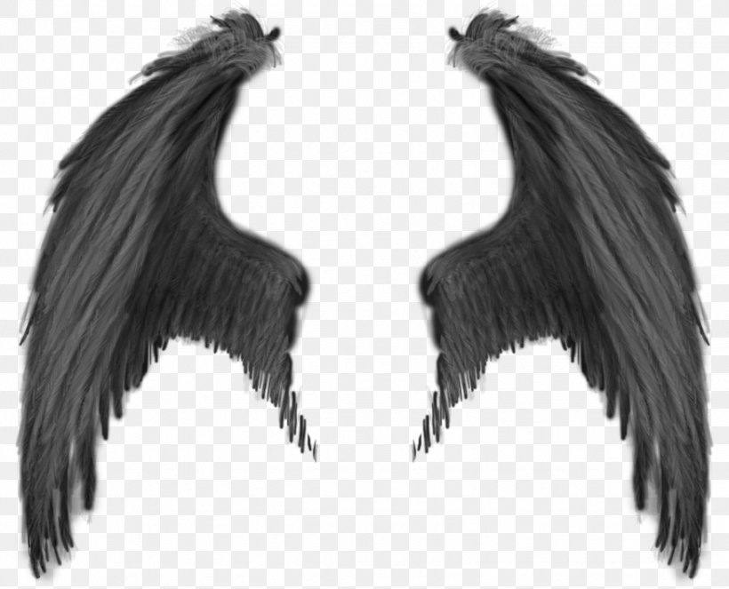 Demon Angel Devil, PNG, 874x707px, Demon, Angel, Black And White, Devil, Feather Download Free