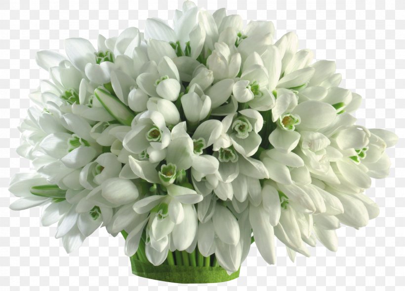 Flower Bouquet Cut Flowers Bulb Galanthus Nivalis, PNG, 2362x1702px, Flower, Artificial Flower, Bulb, Cut Flowers, Floral Design Download Free