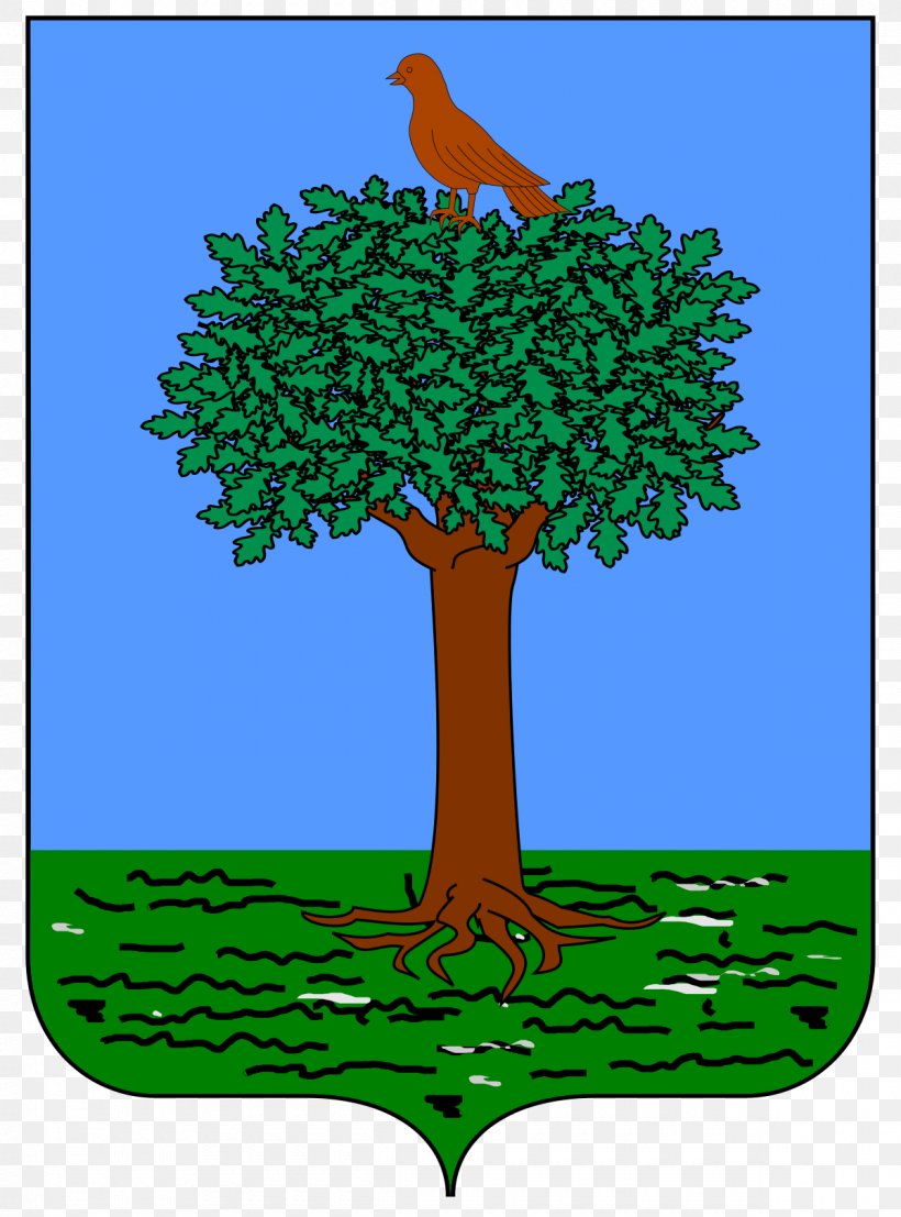 Quarti Dell'Aquila Quarto Di San Pietro Stemma Dell'Aquila Heraldry, PNG, 1200x1620px, Heraldry, Branch, Coat Of Arms, Conifer, Flora Download Free