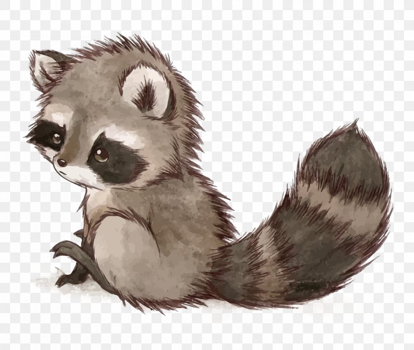 Raccoon Squirrel Drawing Cuteness Cat, PNG, 1500x1269px, Raccoon, Animal, Carnivoran, Cat, Crabeating Raccoon Download Free