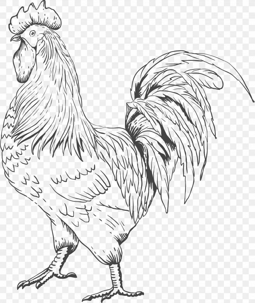 Rooster Chicken Sardinian Donkey Farm, PNG, 3035x3600px, Rooster, Art, Artwork, Beak, Bird Download Free