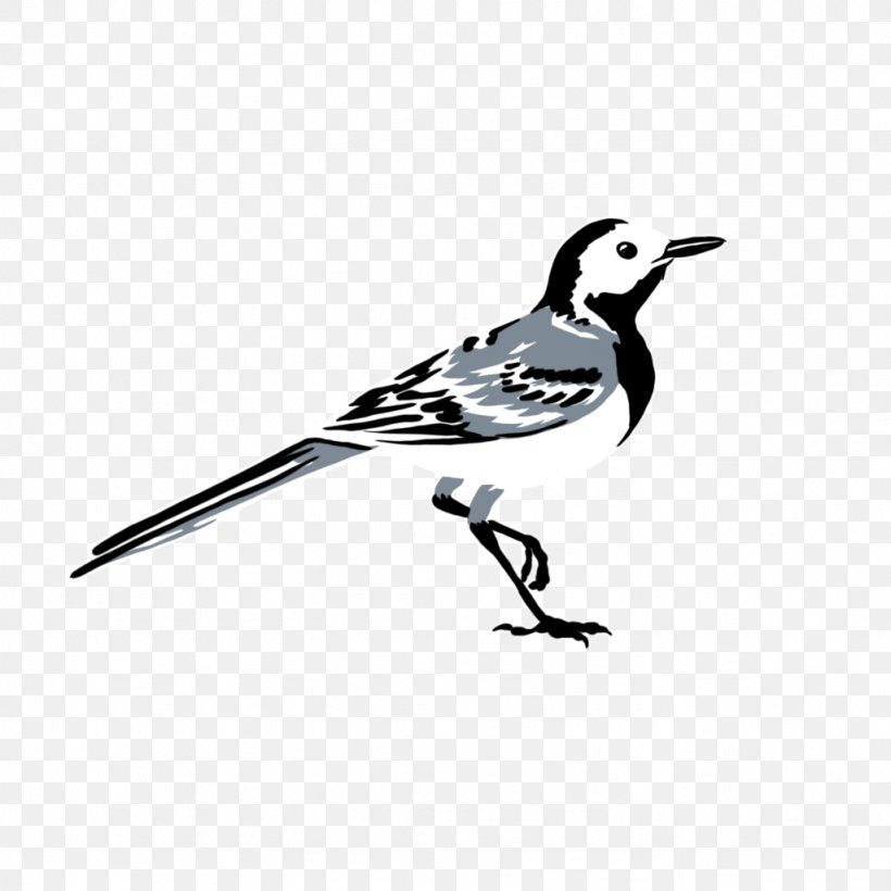 Cartoon Bird, PNG, 1024x1024px, Bird, Beak, Black And White Warbler, Fauna, Feather Download Free