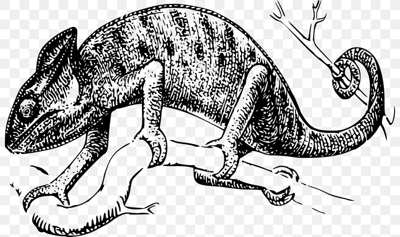 Chameleons Lizard Reptile Drawing Clip Art, PNG, 800x485px, Chameleons, Amphibian, Art, Artwork, Black And White Download Free