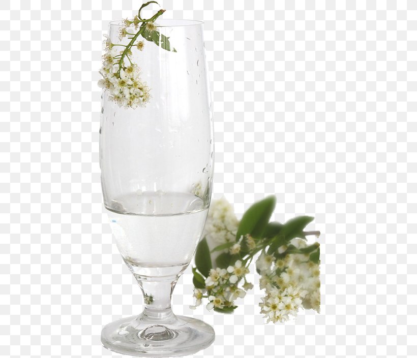 Cocktail Wine Glass Drink Jasminum Nudiflorum, PNG, 441x705px, Wine Glass, Branch, Champagne Glass, Champagne Stemware, Cup Download Free
