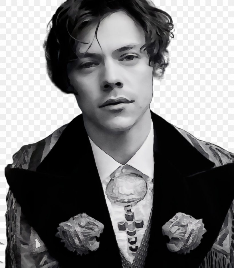 Love Sign, PNG, 934x1072px, Harry Styles, Black Hair, Blackandwhite, Chin, Forehead Download Free