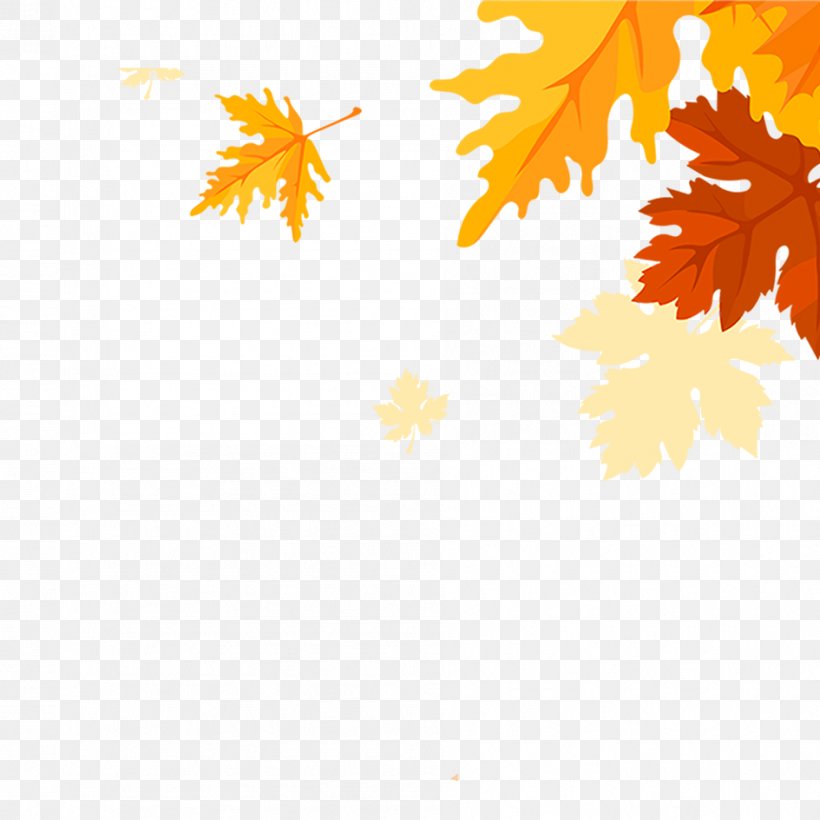 Maple Leaves Falling, PNG, 945x945px, Leaf, Autumn, Coreldraw, Flowering Plant, Fundal Download Free