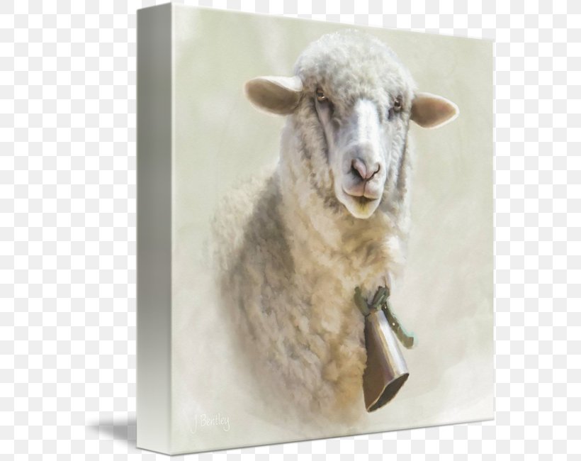 Sheep Gallery Wrap Canvas Art Printing, PNG, 589x650px, Sheep, Art, Canvas, Cow Goat Family, Gallery Wrap Download Free