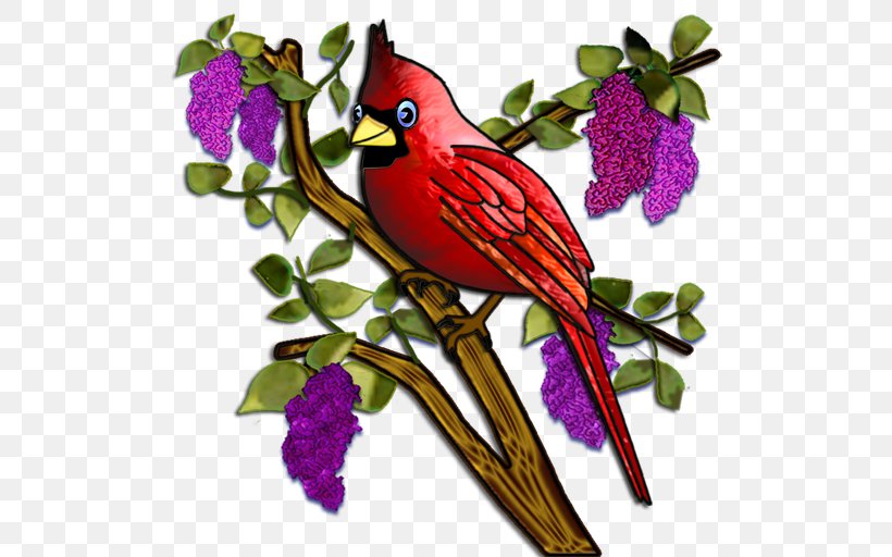 Bird St. Louis Cardinals Drawing Clip Art, PNG, 512x512px, Bird, Art, Beak, Branch, Cardinal Download Free