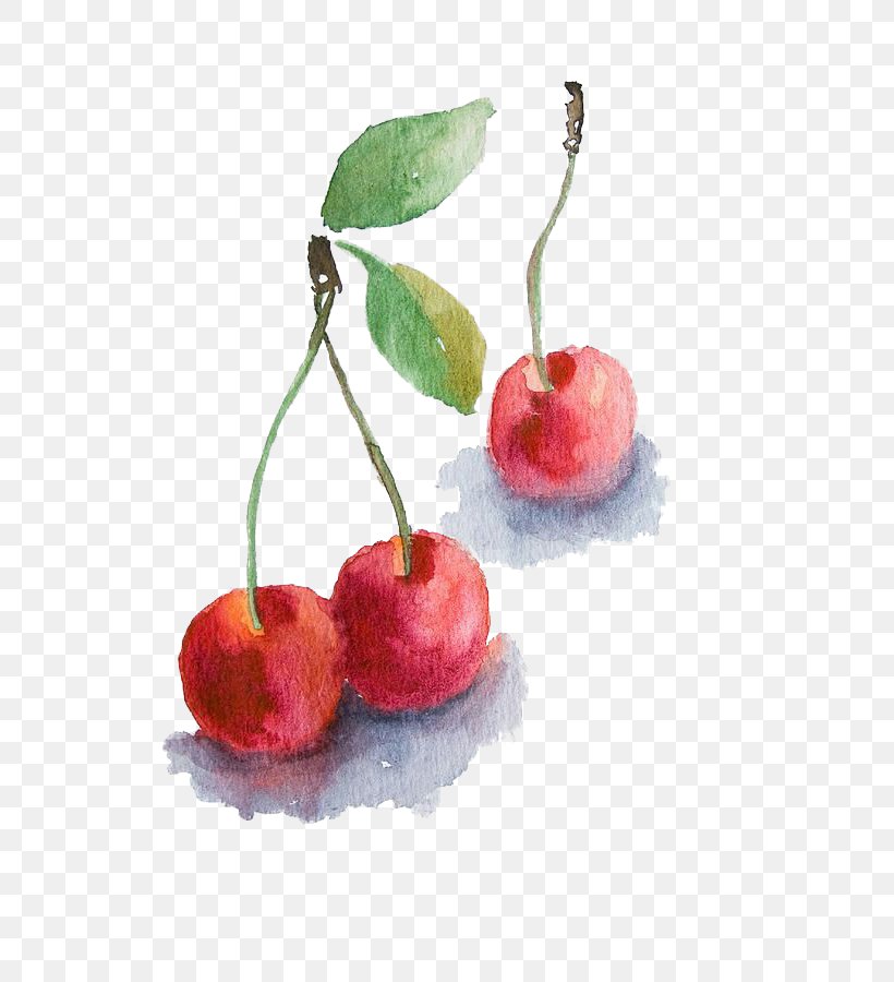 Clafoutis Watercolor Painting Cherry Drawing, PNG, 600x900px, Clafoutis, Acrylic Painting Techniques, Apple, Art, Art Museum Download Free