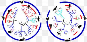 Figure - Influenza A Virus Subtype H7N9 Avian Influenza PNG
