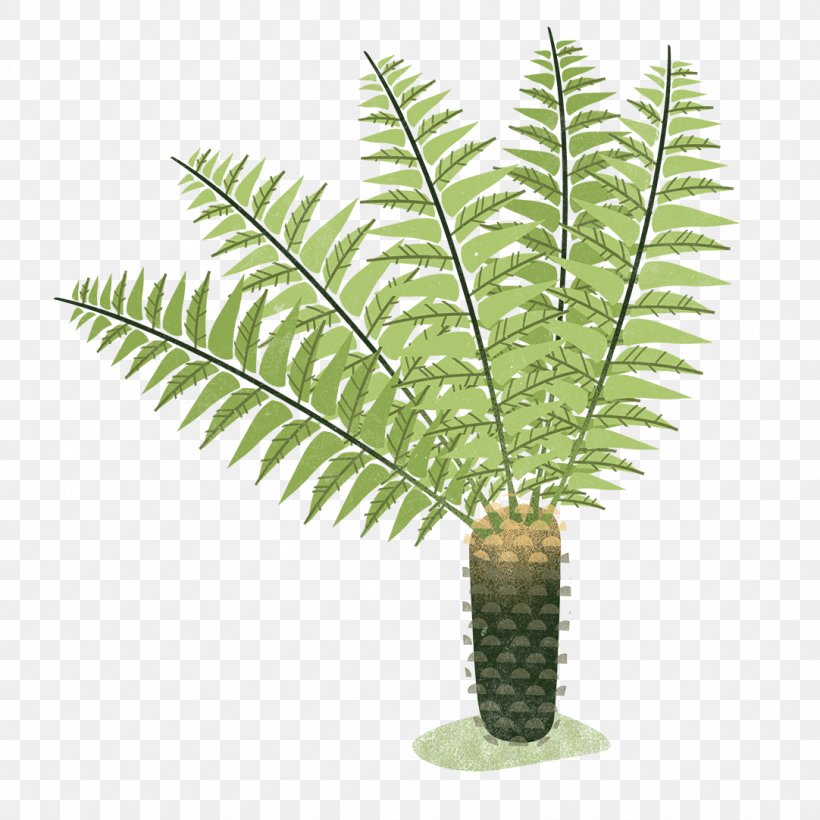 Fern Clip Art Image Transparency, PNG, 1082x1082px, Fern, Ferns And Horsetails, Flowerpot, Plant, Plant Stem Download Free