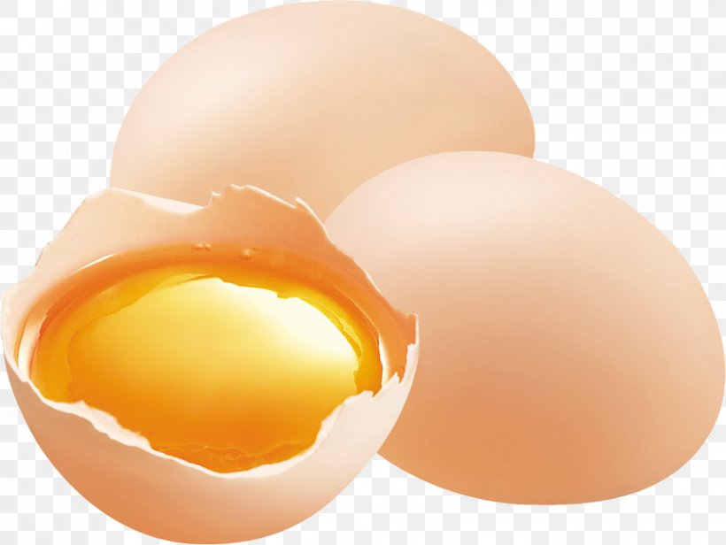 Chicken Egg Eating Food, PNG, 864x650px, Egg, Chicken Egg, Diet, Eating, Egg White Download Free