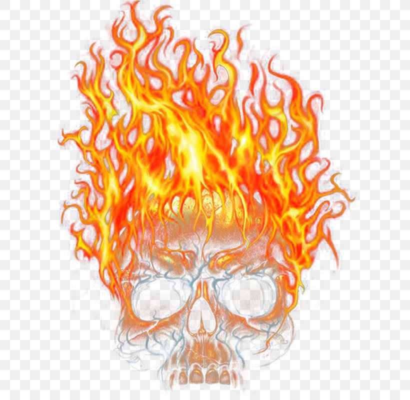 Flame Skeleton Skull Computer File, PNG, 800x800px, Flame, Bone, Fire ...