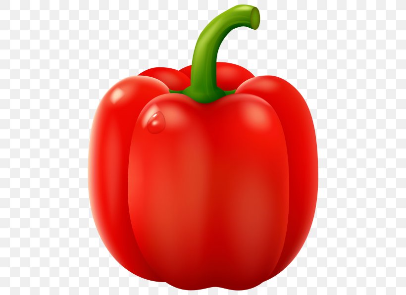 Green Bell Pepper Chili Pepper Clip Art Cayenne Pepper, PNG, 480x596px, Bell Pepper, Bell Peppers And Chili Peppers, Bush Tomato, Capsicum, Cayenne Pepper Download Free