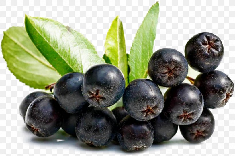 Juice Aronia Melanocarpa Antioxidant Fruit Mountain-ash, PNG, 1000x666px, Juice, Anthocyanidin, Anthocyanin, Antioxidant, Aristotelia Chilensis Download Free