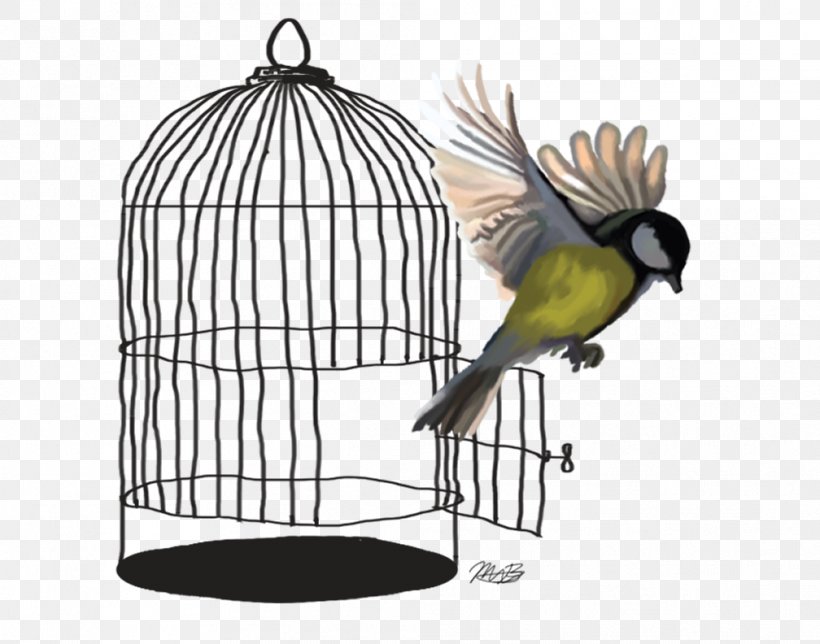 Lovebird Budgerigar Parrot Cage, PNG, 1008x792px, Bird, Animal, Beak, Bird Supply, Birdcage Download Free