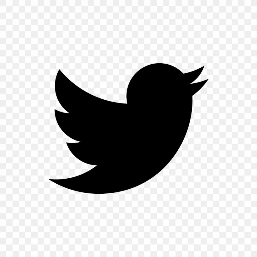 Social Media Internet Blog Twitter, PNG, 1080x1080px, Social Media, Advertising, Beak, Bird, Black And White Download Free