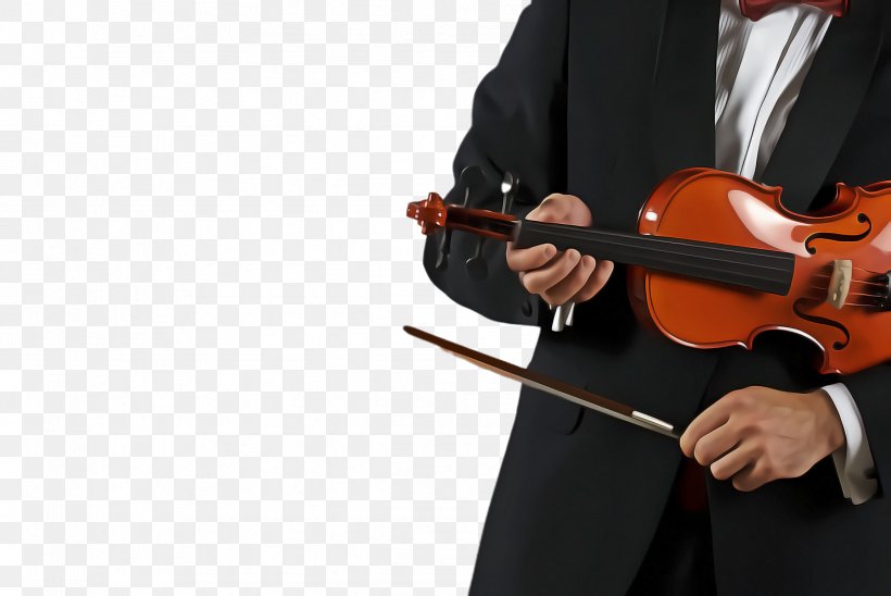 String Instrument Musical Instrument String Instrument Music Violin, PNG, 2444x1636px, String Instrument, Music, Musical Instrument, Viola, Violin Download Free