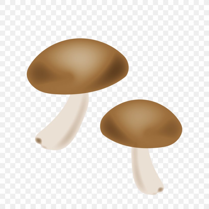 Agaricaceae, PNG, 1321x1321px, Agaricaceae, Mushroom, Table Download Free