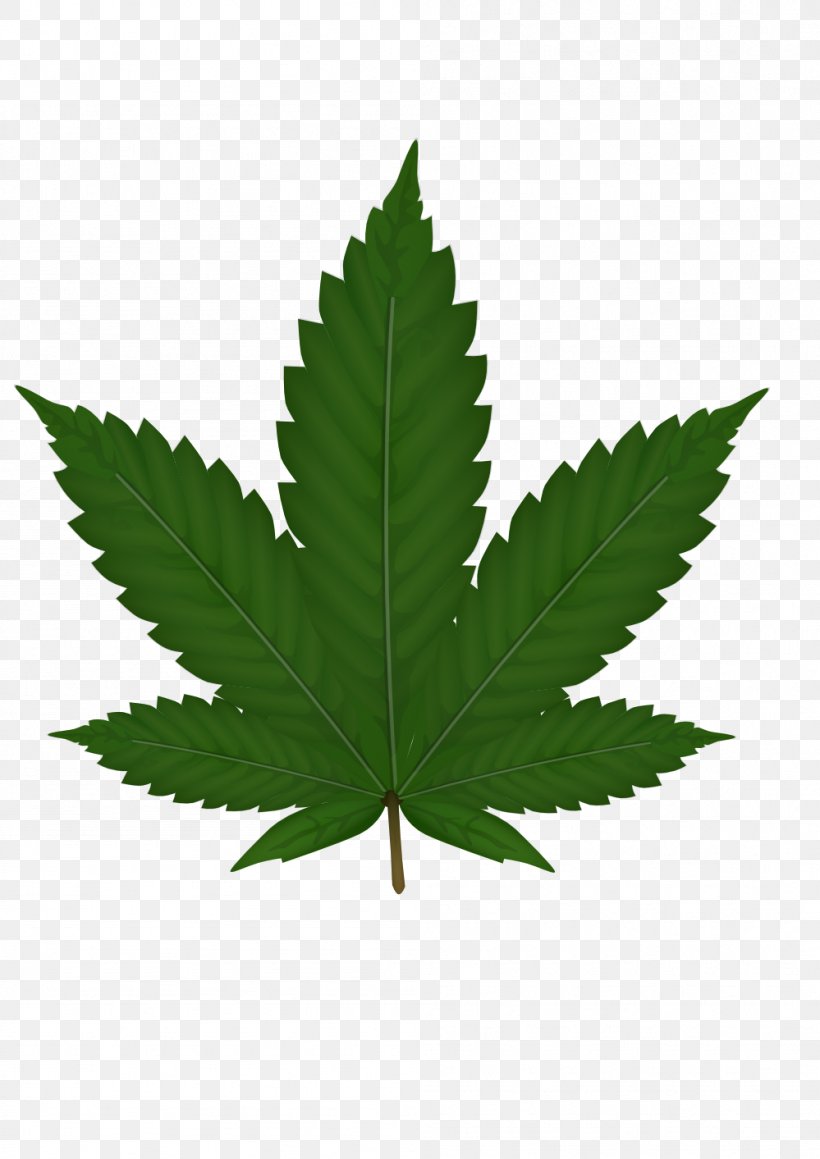 Cannabis Sativa Leaf Clip Art, PNG, 999x1413px, Cannabis, Blog, Drug, Hemp, Hemp Family Download Free