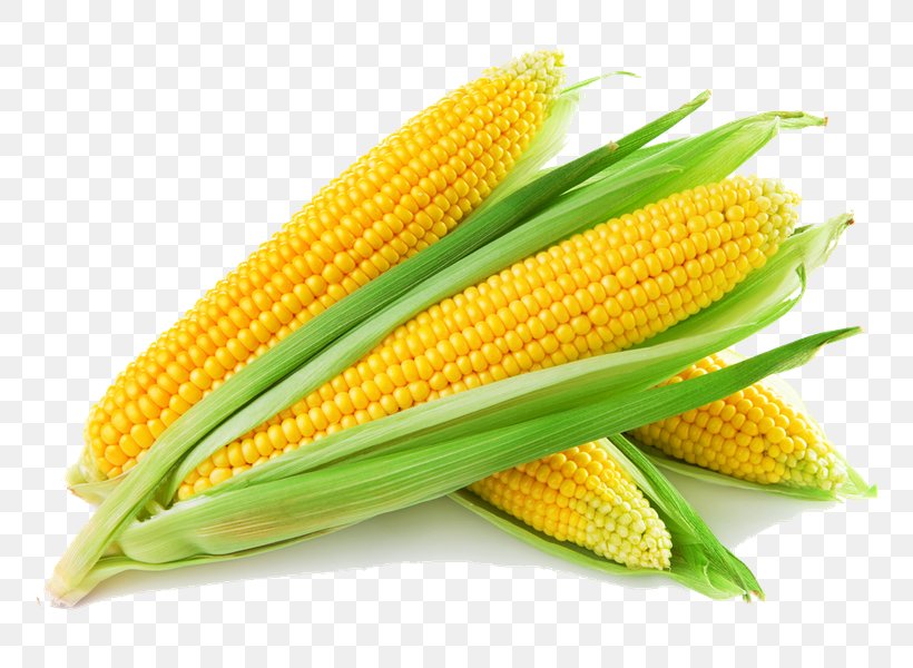 Corn On The Cob Maize Corncob Sweet Corn Cereal, PNG, 800x600px, Corn On The Cob, Cereal, Commodity, Corn Husk Doll, Corn Kernel Download Free